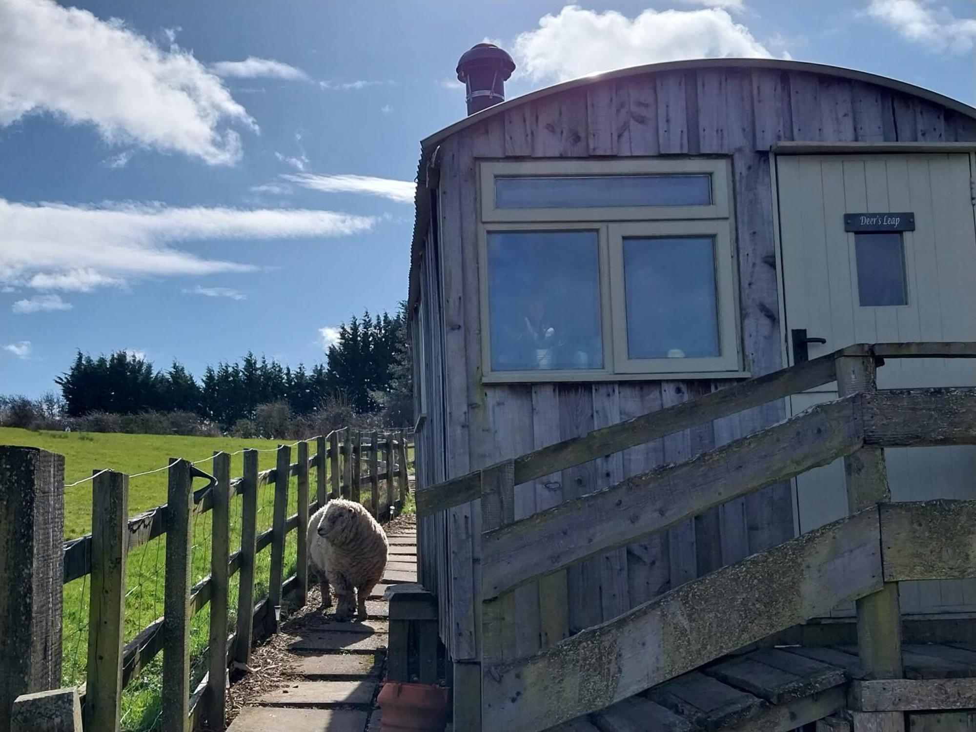 Meadowbeck - Shepherd Huts Fylingdales Esterno foto