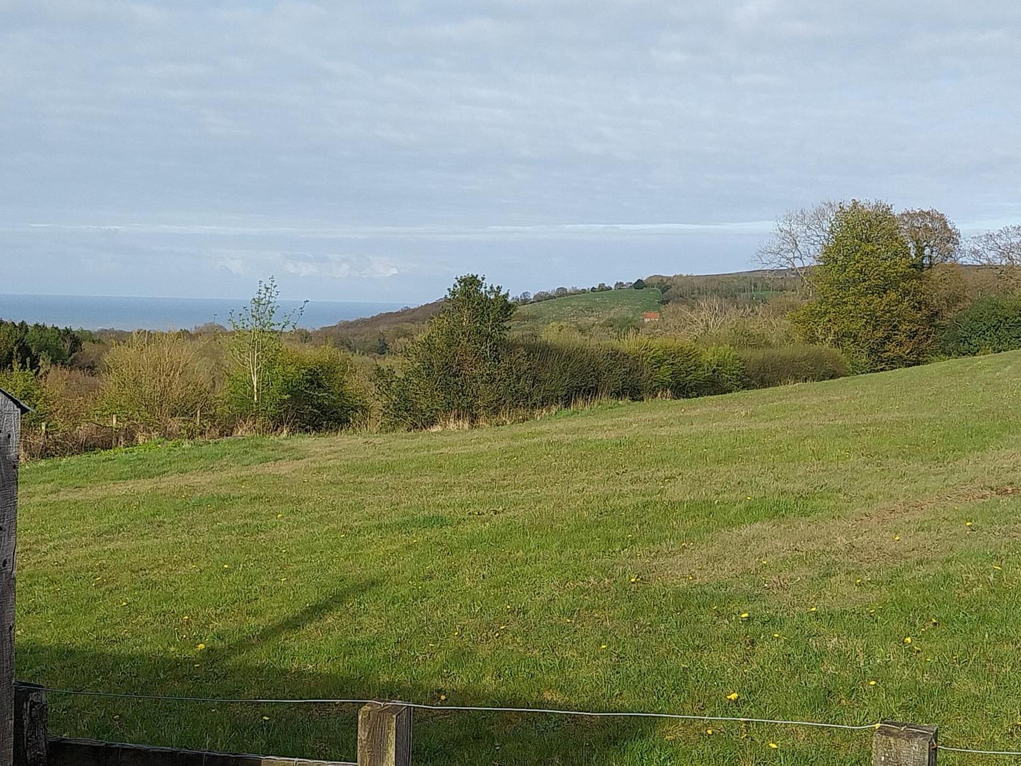 Meadowbeck - Shepherd Huts Fylingdales Esterno foto