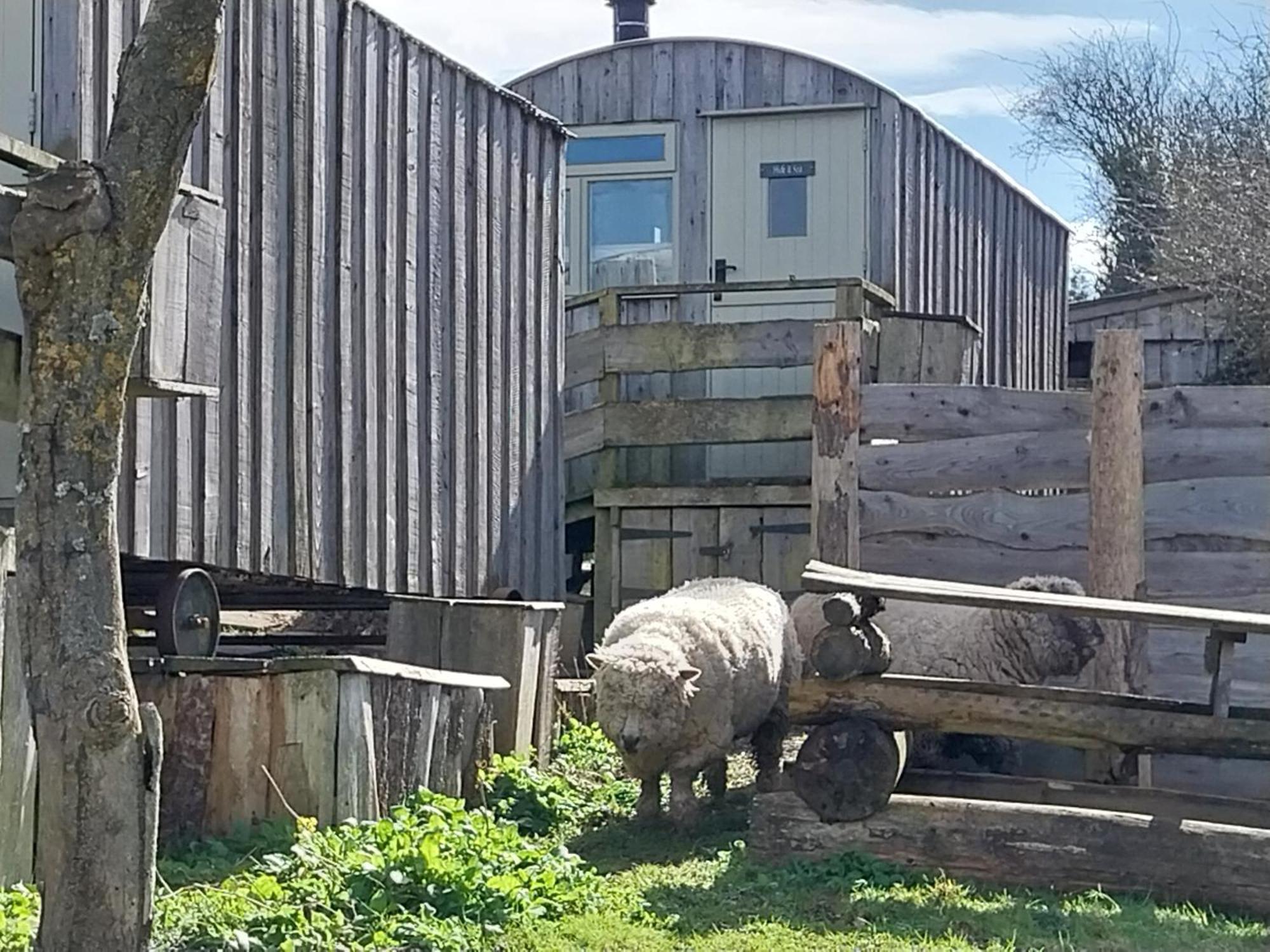 Meadowbeck - Shepherd Huts Fylingdales Esterno foto
