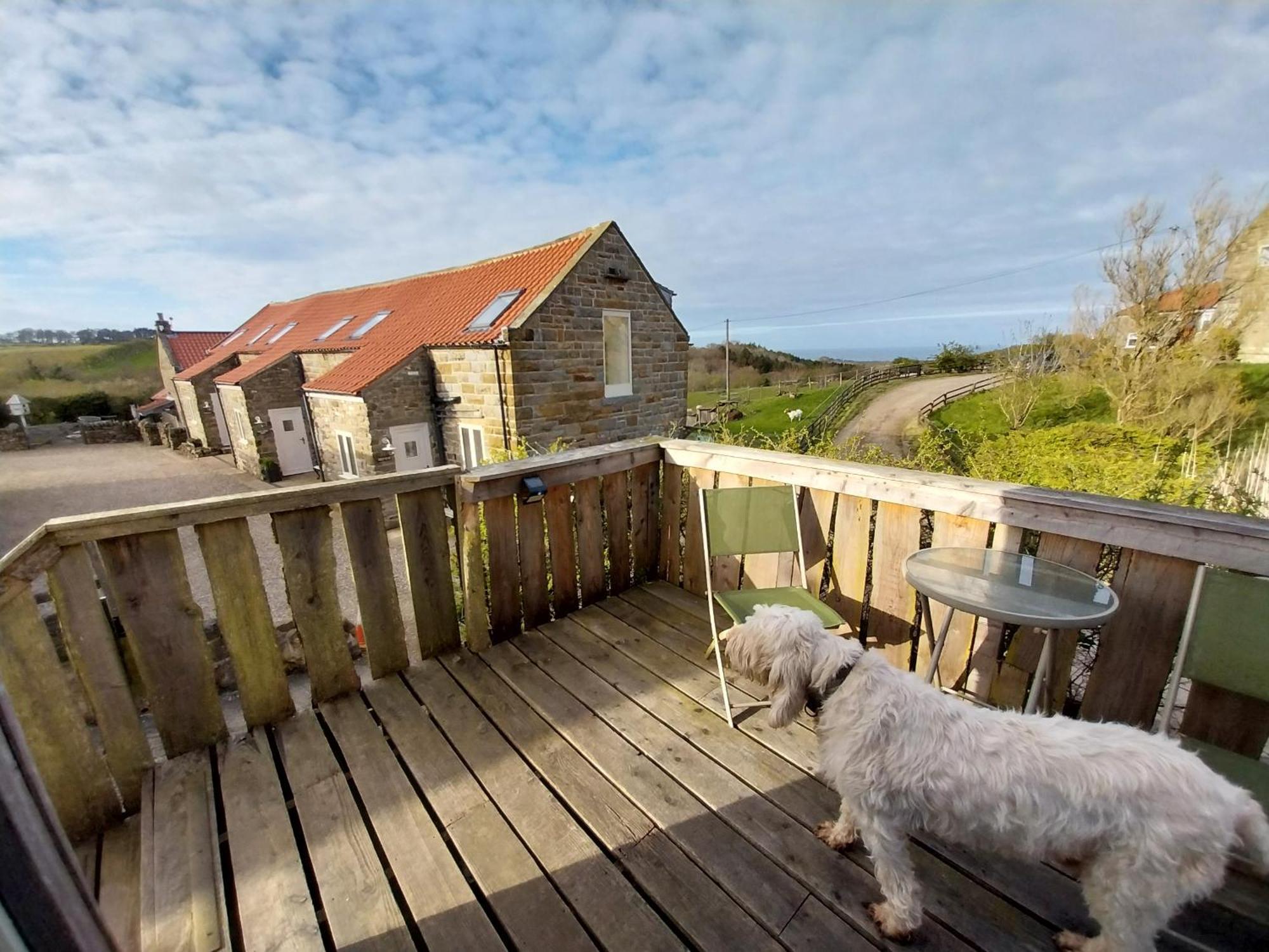 Meadowbeck - Shepherd Huts Fylingdales Esterno foto